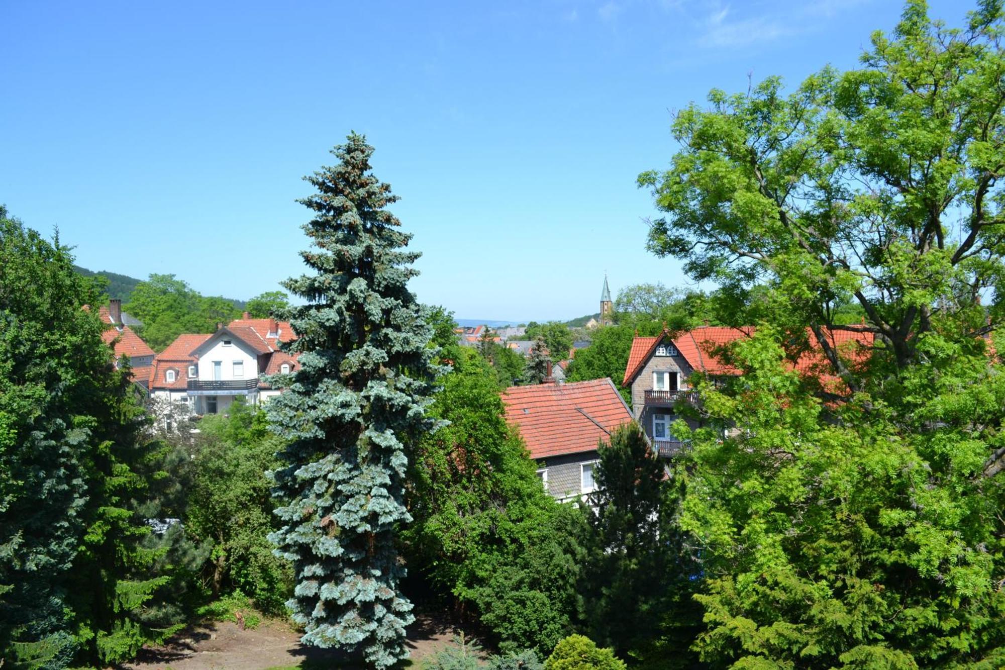 Gaestehaus Graul Goslar Buitenkant foto
